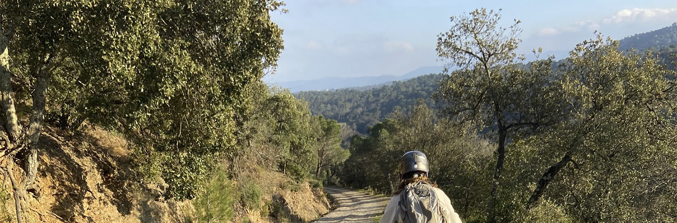 EXCURSIÓN EN BICICLETA