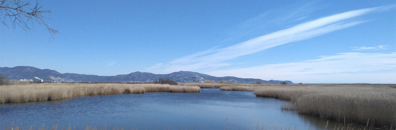 AIGUAMOLLS EMPORDÀ