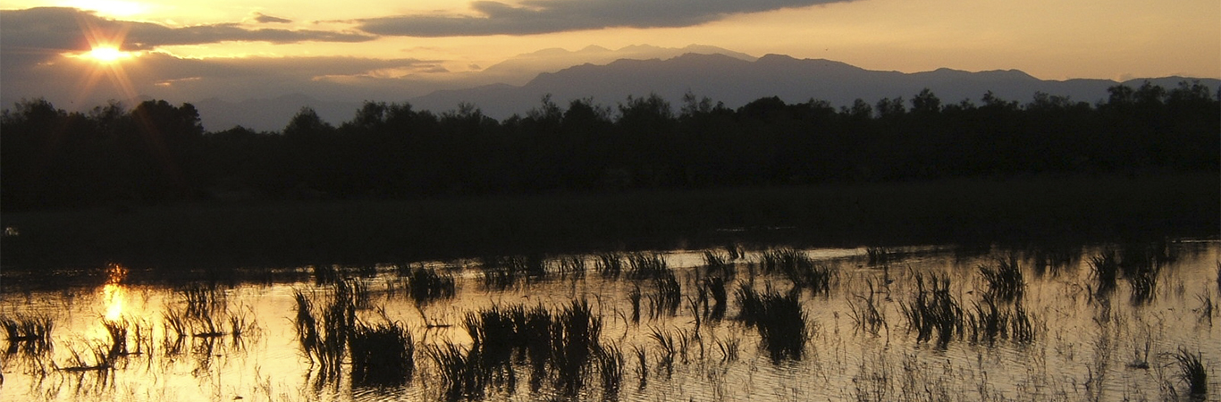 AIGUAMOLLS EMPORDÀ